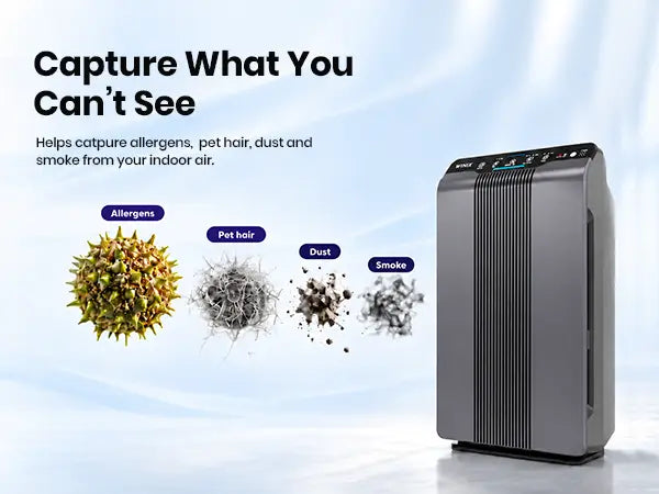 Winix 5300-2 particle capturing 1.1