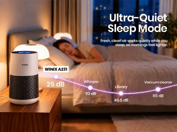 winix a231 sleep mode 1.1
