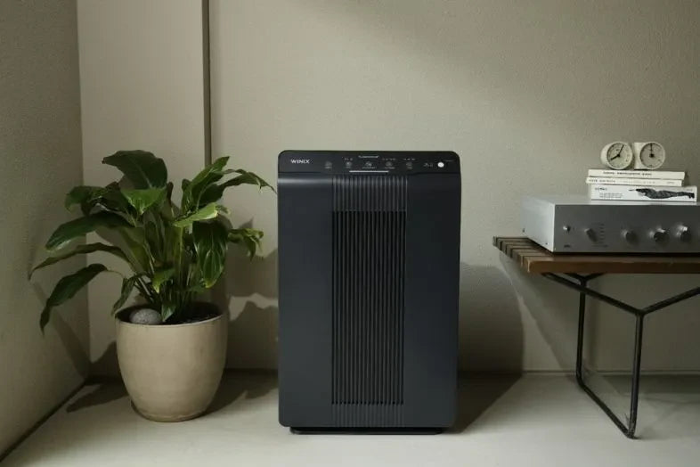 Best Air Purifier in India