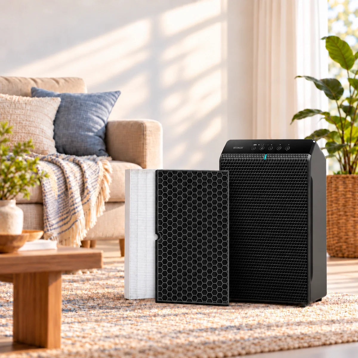 Air Purifier Filter Replacement