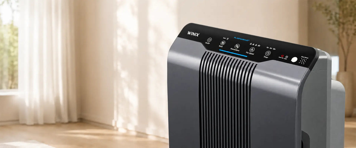 Best Air Purifier in India