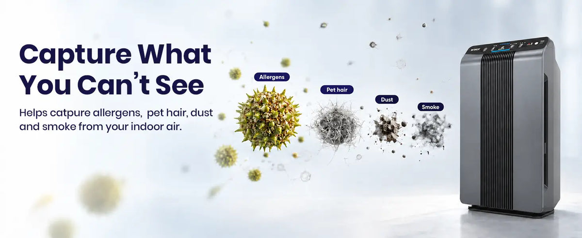 Winix 5300-2 particle capturing 1.1