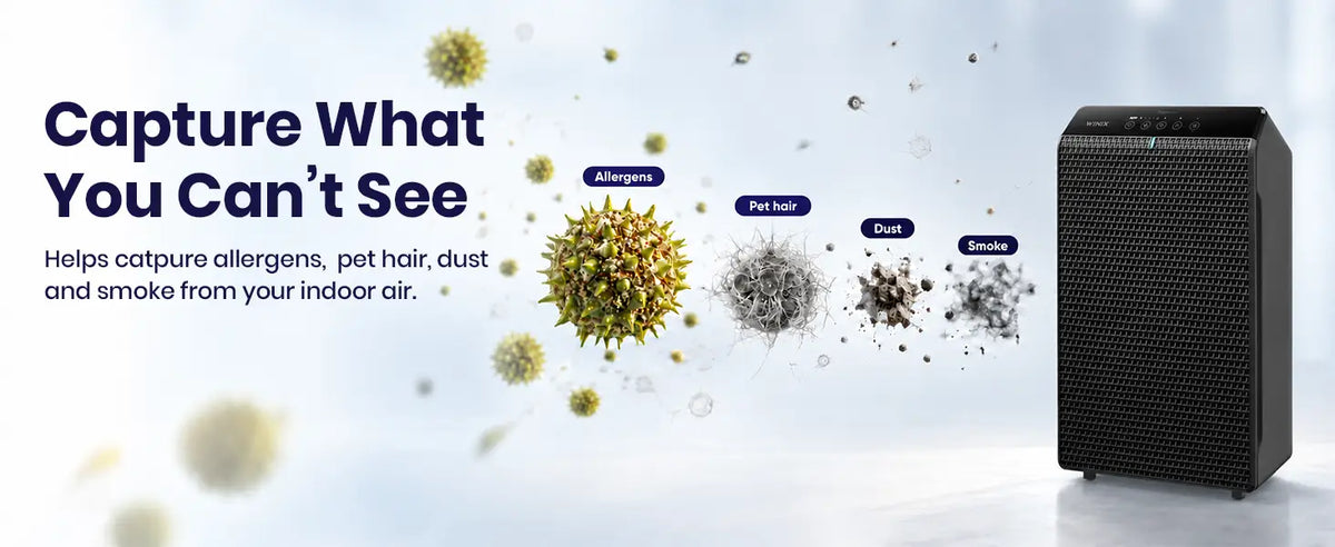 Winix 5520 particle capturing 1.1
