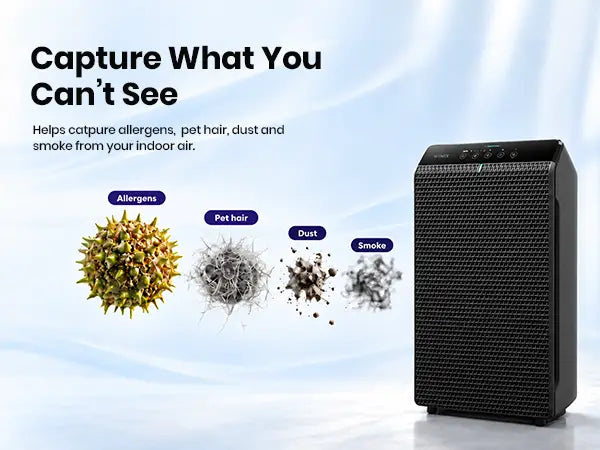 Winix 5520 particle capturing 1.1