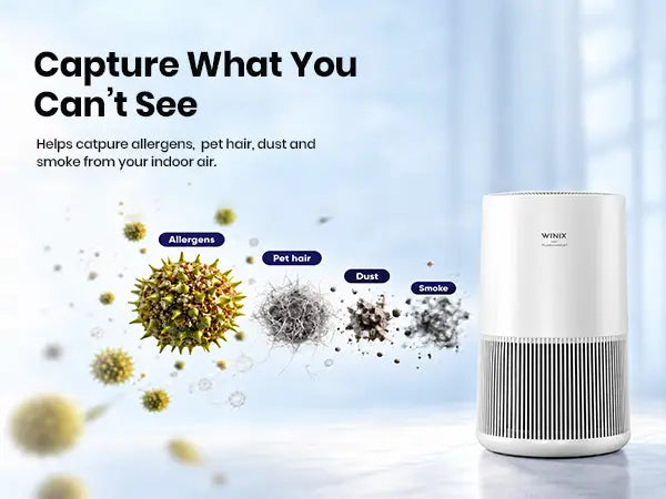 Winix mini 360 particle capturing 1.1