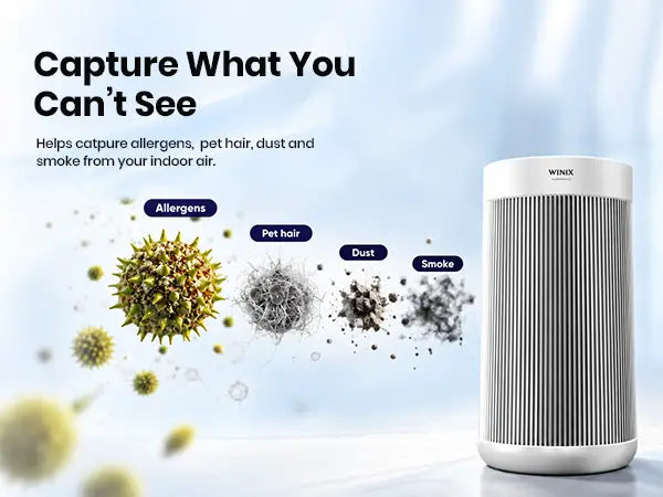 Winix t800 particle capturing 1.1
