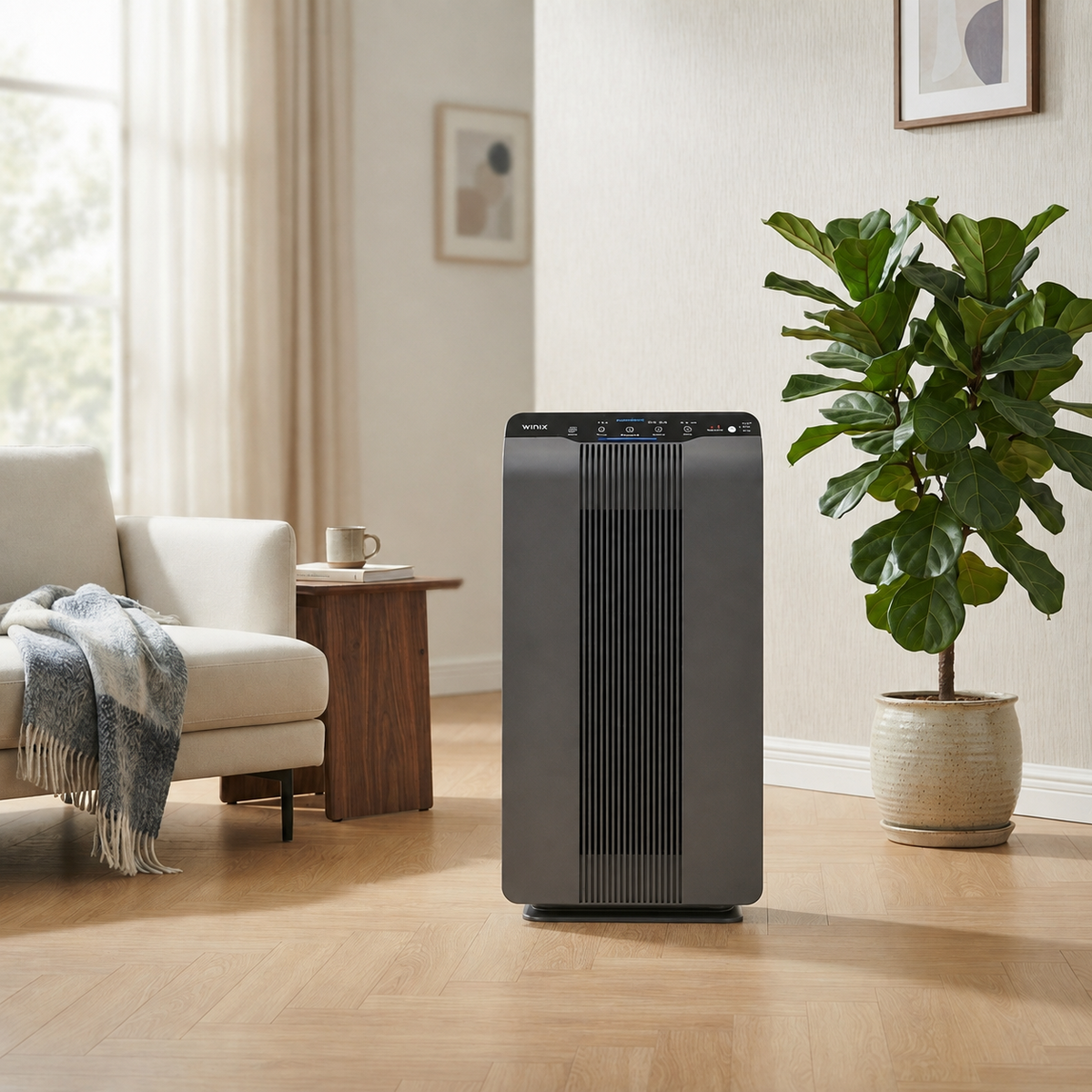 Winix Air Purifier in Living Room