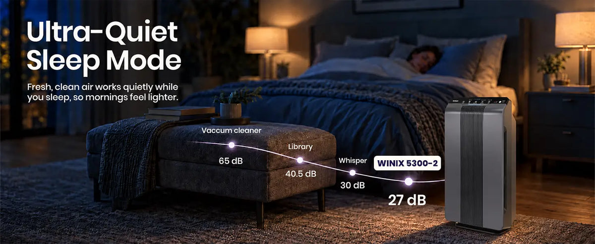 winix 5300-2 sleep mode 1.1
