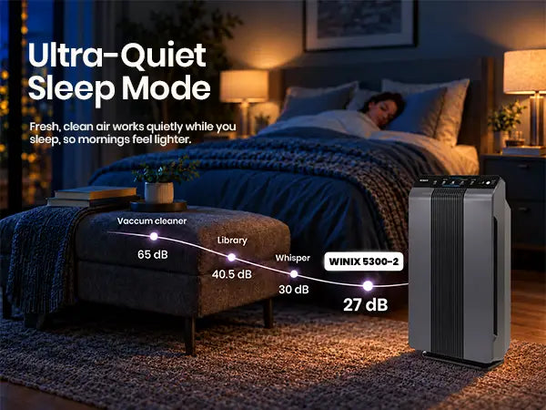 winix 5300-2 sleep mode 1.1