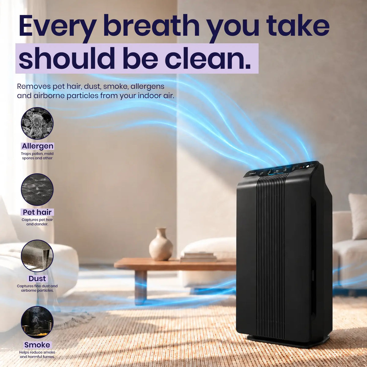 winix 5500-2 for cleaner air