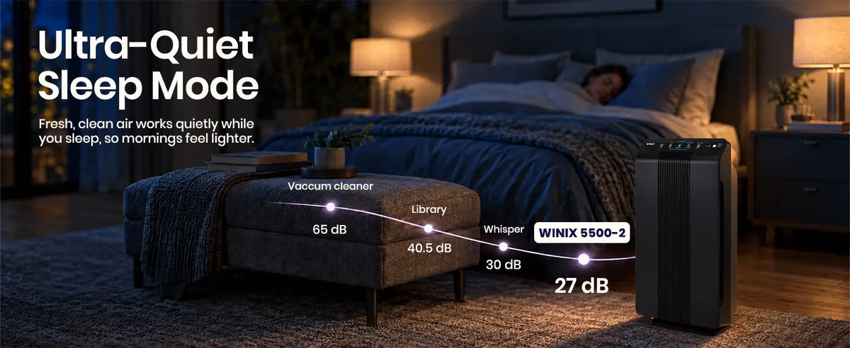 winix 5500-2 sleep mode 1.1