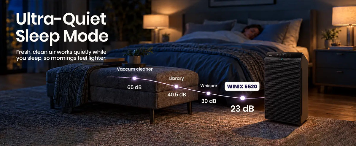 winix 5520 sleep mode 1.1