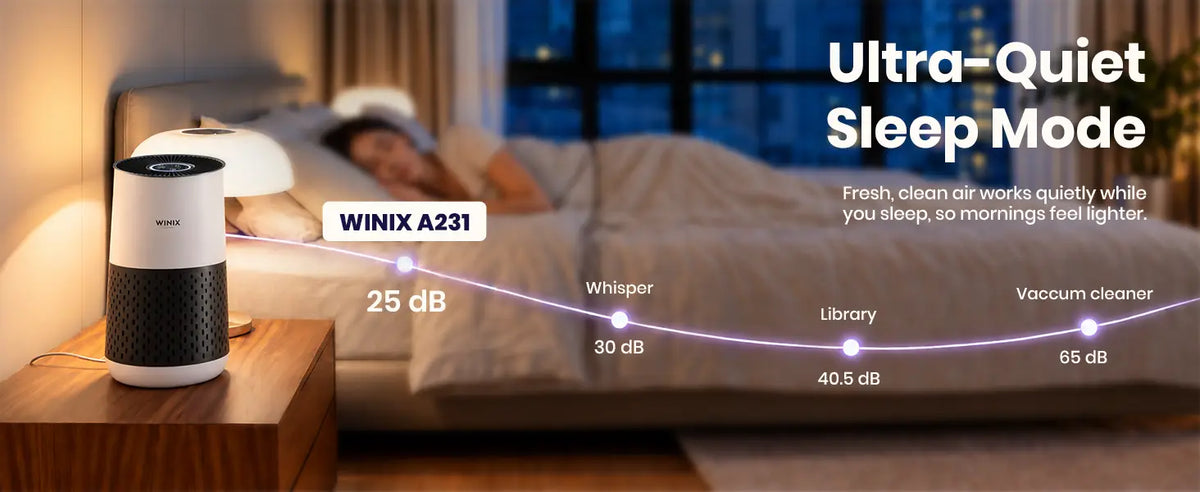 winix a231 sleep mode 1.1