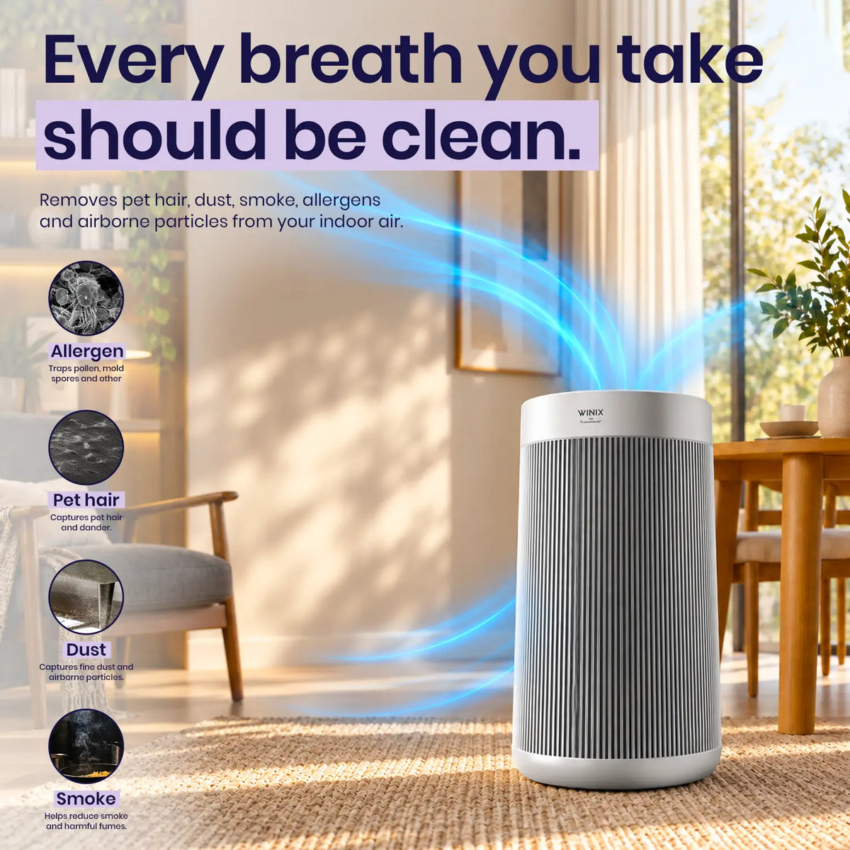 winix t800 for cleaner air